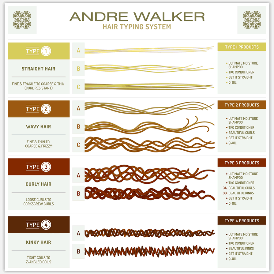 Image showing Andre Walker's hair typing chart. 